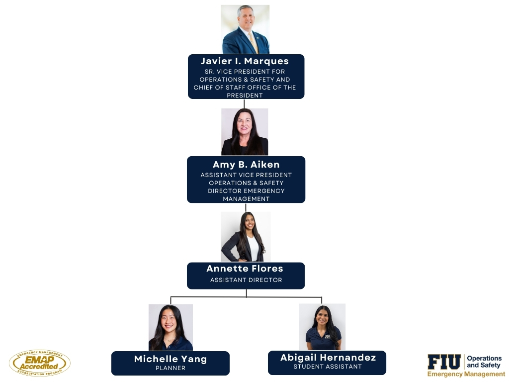 DEM Org Chart