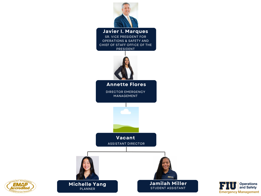 DEM Org Chart